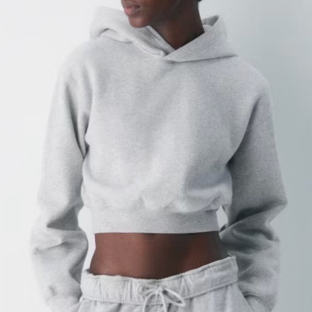 (BNWT) Aritzia Cozy Sweatfleece Perfect Crop Hoodie Heather Chrome